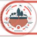 South Asia’s excess Nitrogen heavily contribute to climate crisis – More coordination needed on N2 management